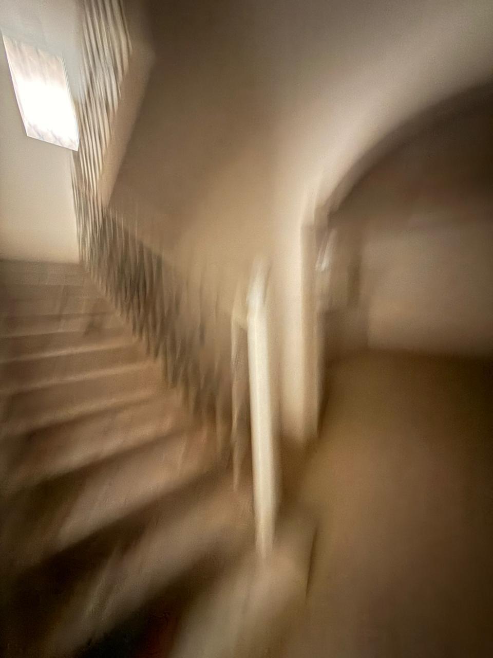 5b0c808f-d540-41a5-8af3-1f2cffdc0ef9